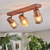 Nelar Plafones, Spot techo Bronce, Cromo, 3 luces