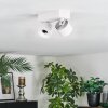 Narel Plafones, Spot techo LED Blanca, 2 luces