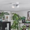 Narel Plafones, Spot techo LED Blanca, 2 luces
