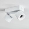 Narel Plafones, Spot techo LED Blanca, 2 luces