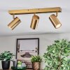 Javel Plafones, Spot techo dorado, 3 luces