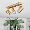Javel Plafones, Spot techo dorado, 3 luces