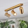 Javel Plafones, Spot techo dorado, 3 luces