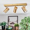 Javel Plafones, Spot techo dorado, 3 luces