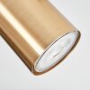 Javel Plafones, Spot techo dorado, 3 luces