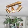 Javel Plafones, Spot techo dorado, 3 luces
