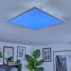 Orain Plafones, Panel LED Blanca, 1 luz, Cambia de color