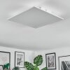Orain Plafones, Panel LED Blanca, 1 luz, Cambia de color