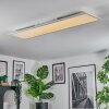 Orain Plafones, Panel LED Blanca, 1 luz, Cambia de color
