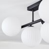 Chehalis Plafones, Luminarias esféricas Negro, 5 luces Chehalis Plafones, Luminarias esféricas Negro, 5 luces