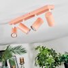 Javel Plafones, Spot techo Rosa, Blanca, 4 luces