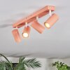 Javel Plafones, Spot techo Rosa, Blanca, 4 luces
