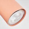 Javel Plafones, Spot techo Rosa, Blanca, 4 luces