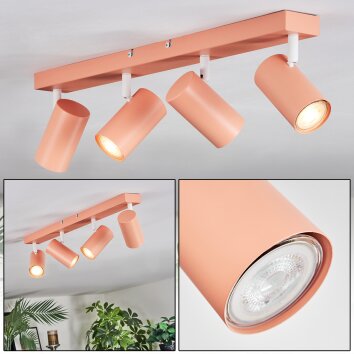Javel Plafones, Spot techo Rosa, Blanca, 4 luces