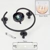 Koyoto Plafones, Luminarias esféricas Colores ámbar, Transparente, 3 luces