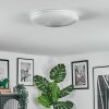 Peran Plafones LED Blanca, 1 luz, Cambia de color