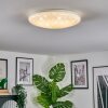 Peran Plafones LED Blanca, 1 luz