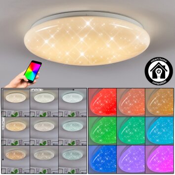Peran Plafones LED Blanca, 1 luz