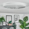 Peran Plafones LED Blanca, 1 luz