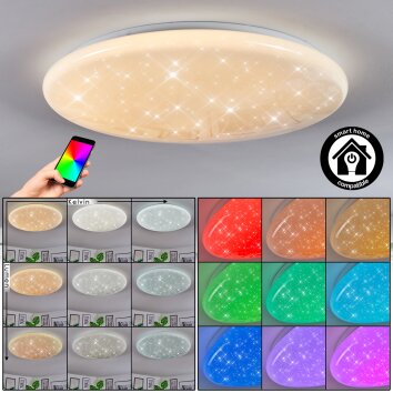 Peran Plafones LED Blanca, 1 luz