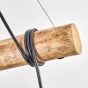 Ripoll Lámparas suspendidas, Luminarias esféricas, Lámparas colgantes Crudo, Negro, 5 luces