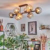 Koyoto Plafones, Luminarias esféricas Colores ámbar, Transparente, Ahumado, 8 luces