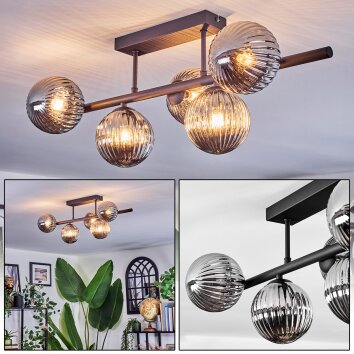 Chehalis Plafones, Luminarias esféricas Ahumado, 5 luces