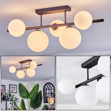 Chehalis Plafones, Luminarias esféricas Blanca, 5 luces