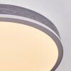 Salmi Plafones, Panel LED Gris, Plata, 1 luz
