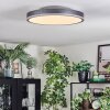 Salmi Plafones, Panel LED Gris, Plata, 1 luz