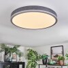 Salmi Plafones, Panel LED Gris, Plata, 1 luz