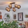 Ripoll Plafones, Luminarias esféricas Ahumado, 6 luces Ripoll Plafones, Luminarias esféricas Ahumado, 6 luces