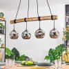 Ripoll Lámparas suspendidas, Luminarias esféricas, Lámparas colgantes Crudo, Negro, 4 luces