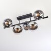 Gastor Plafones, Luminarias esféricas Cromo, Transparente, Ahumado, 5 luces