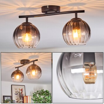 Koyoto Plafones, Luminarias esféricas Transparente, Ahumado, 2 luces