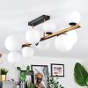 Chehalis Plafones, Luminarias esféricas dorado, Negro, 10 luces
