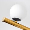 Chehalis Plafones, Luminarias esféricas dorado, Negro, 10 luces