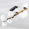 Chehalis Plafones, Luminarias esféricas dorado, Negro, 10 luces