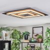 Lidor Plafones LED Antracita, Gris, Negro, 1 luz