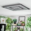 Lidor Plafones LED Antracita, Gris, Negro, 1 luz