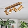 Javel Plafones, Spot techo dorado, 4 luces