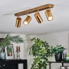 Javel Plafones, Spot techo dorado, 4 luces