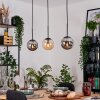 Gastor Lámparas suspendidas, Luminarias esféricas, Lámparas colgantes Colores ámbar, Ahumado, 3 luces