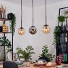 Gastor Lámparas suspendidas, Luminarias esféricas, Lámparas colgantes Colores ámbar, Ahumado, 3 luces
