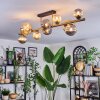 Chehalis Plafones, Luminarias esféricas dorado, Negro, 10 luces