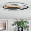 Trapani Plafones LED dorado, Negro, 1 luz, Mando a distancia