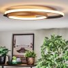 Trapani Plafones LED dorado, Negro, 1 luz, Mando a distancia