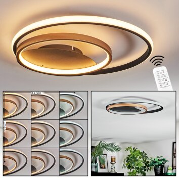 Trapani Plafones LED dorado, Negro, 1 luz, Mando a distancia