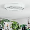 Rarel Plafones LED Plata, Blanca, 1 luz