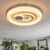 Rarel Plafones LED Plata, Blanca, 1 luz